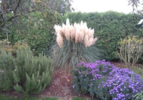 Garten im Herbst