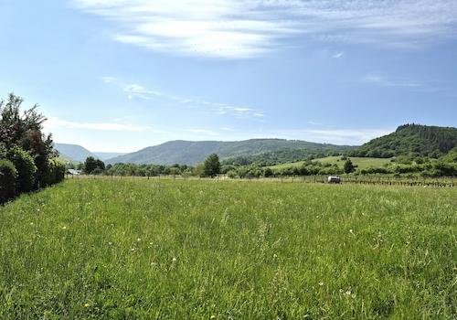 Blick in die Umgebung Richtung Traben-Trarbach vom Nachbargrundstück