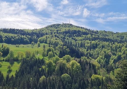 Ausblick Balkon