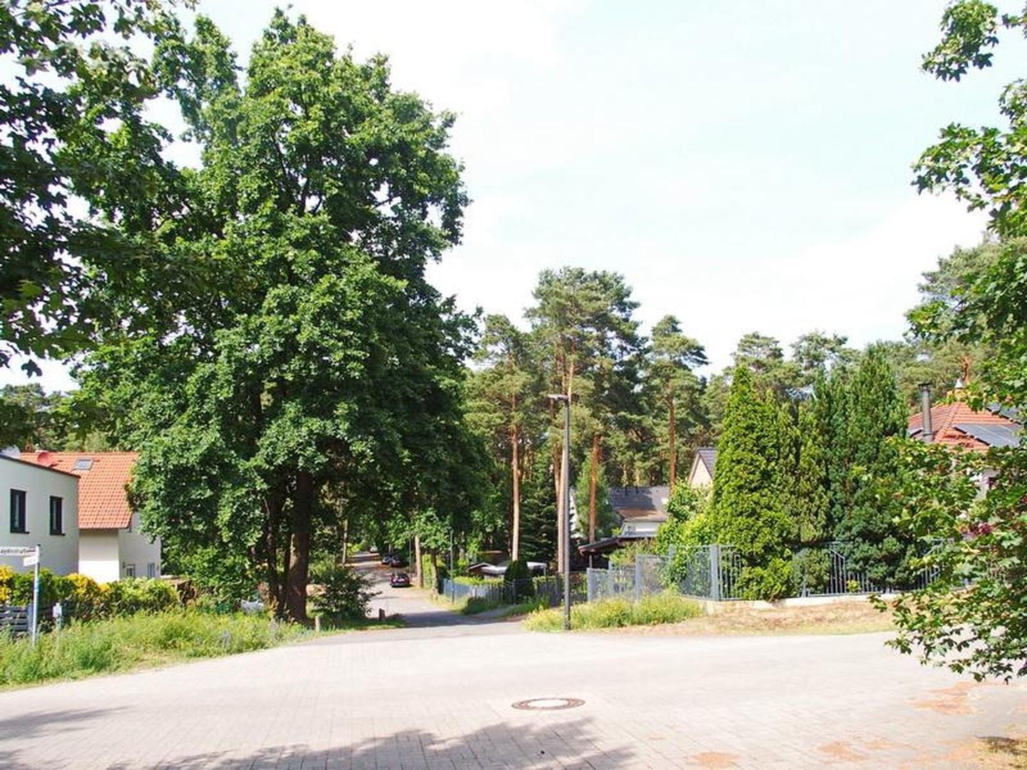 Blick zum Grundstück