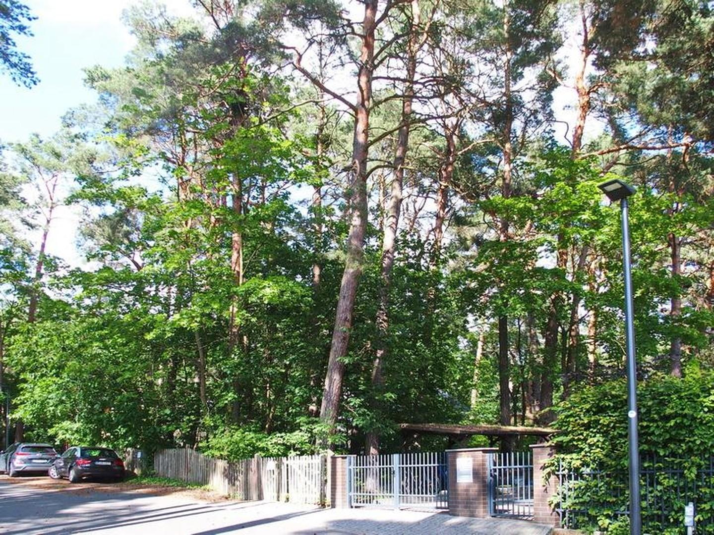Grundstück Blick von rechts