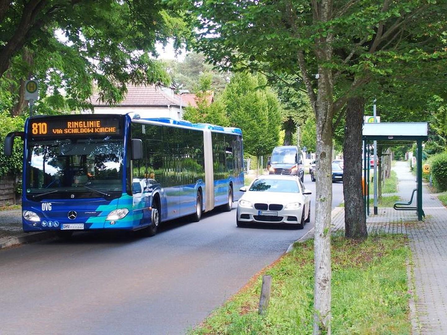 Brandenburgbus