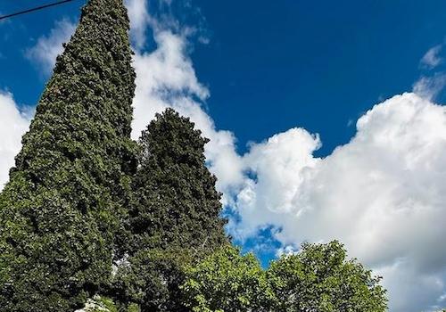 Blick von der Terrasse.