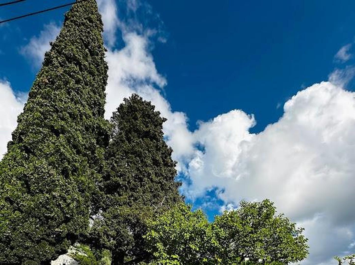 Blick von der Terrasse.