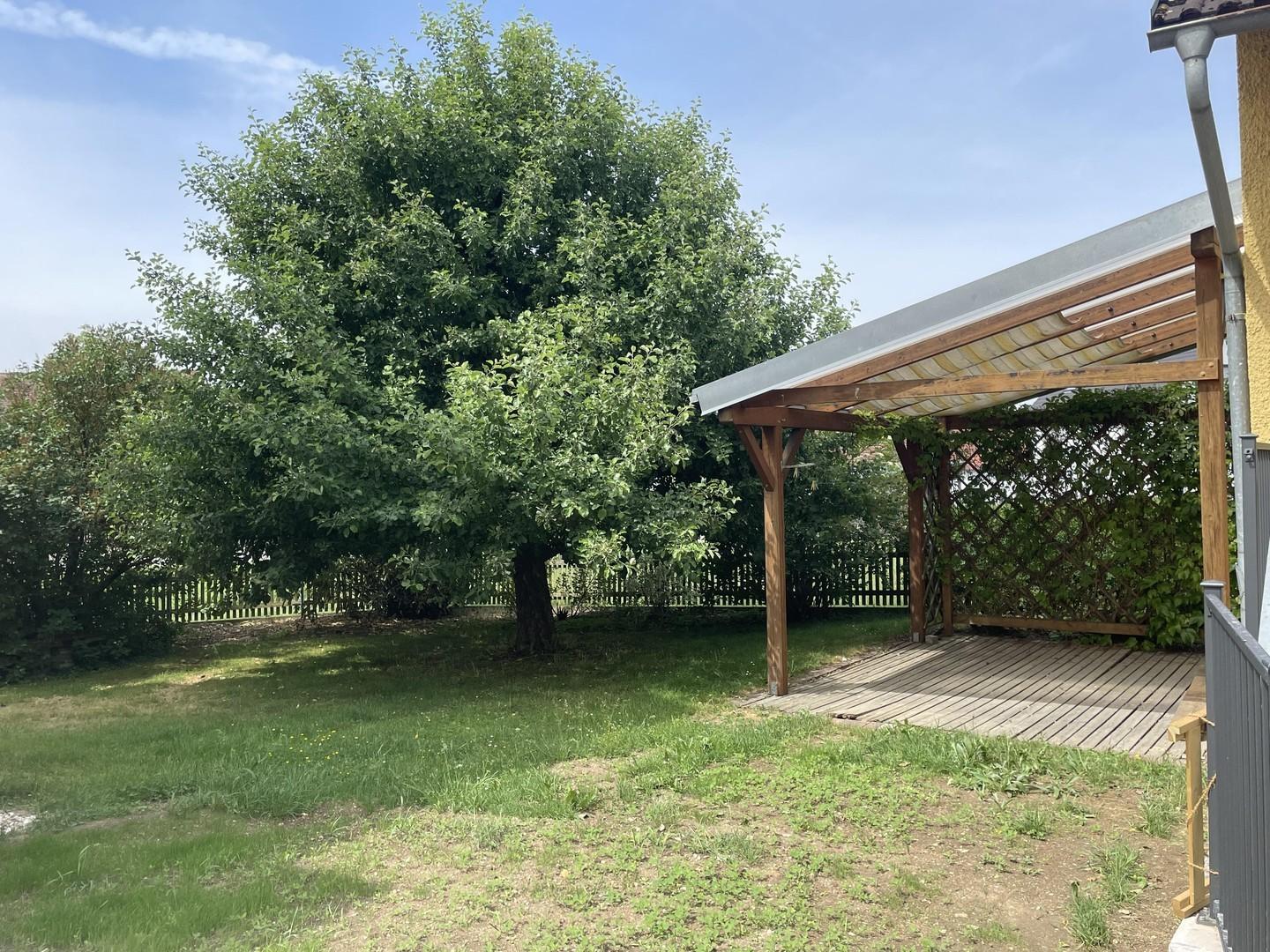 Eigener Garten mit Apfelbaum