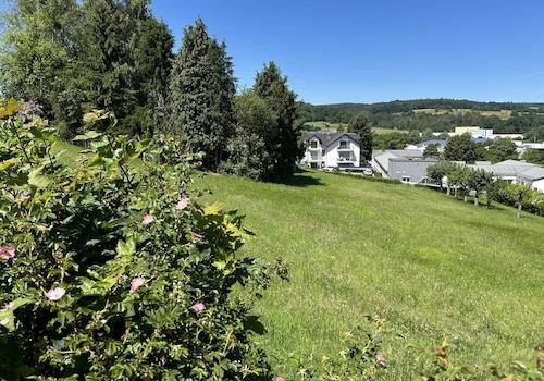 Ansicht seitlich von rechts