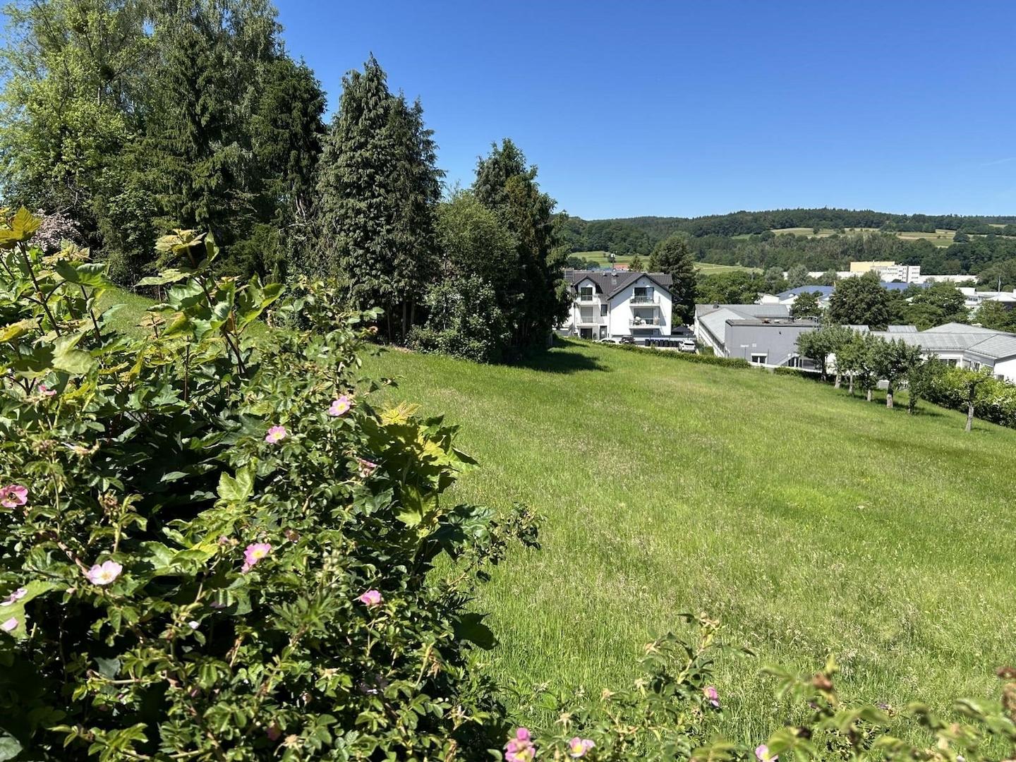 Ansicht seitlich von rechts