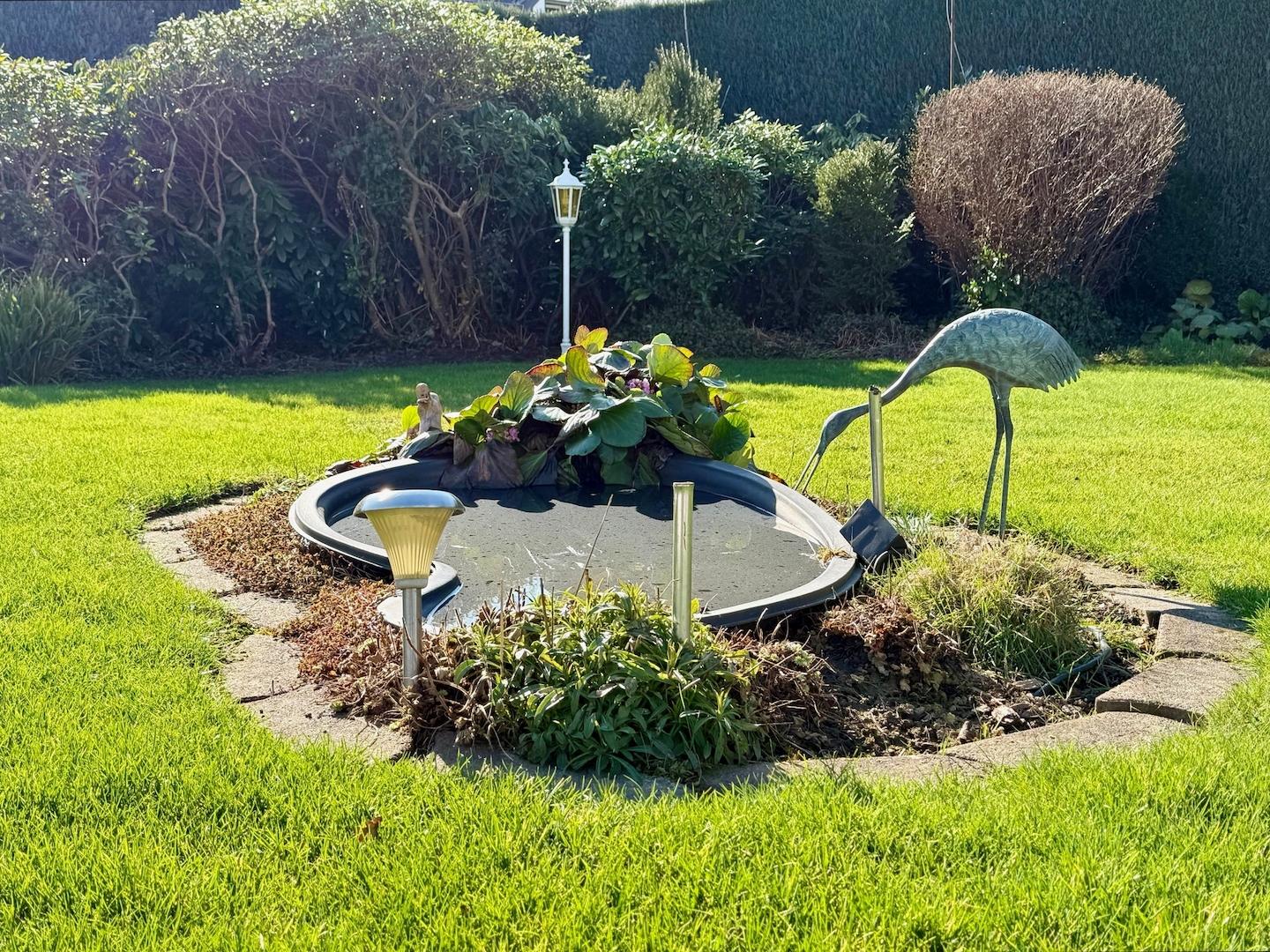 Kleiner Teich im Garten
