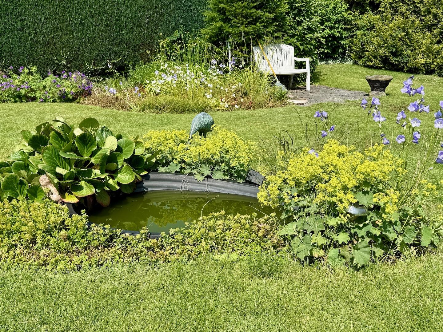 Kleiner Teich Garten