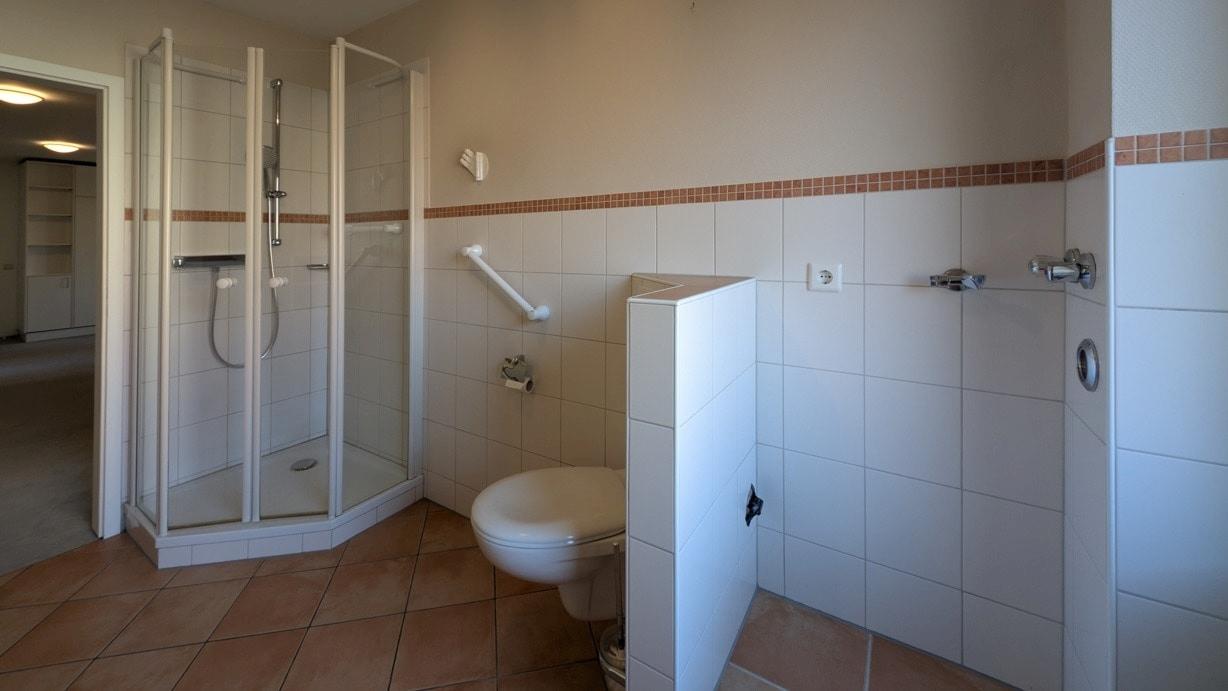 Tageslicht Badezimmer mit Dusche