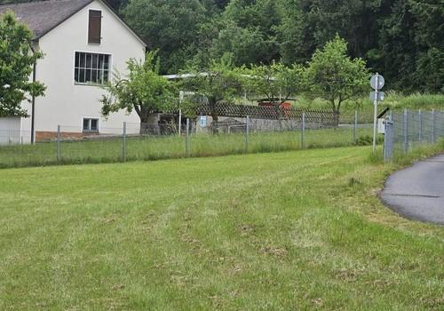 Wiese Süd