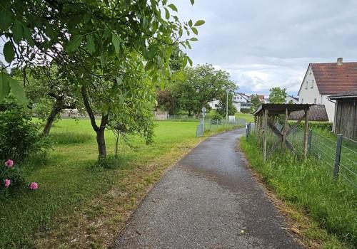 Teerstraße/Wiese Ost