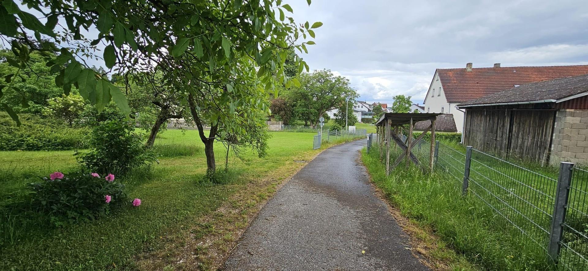 Teerstraße/Wiese Ost