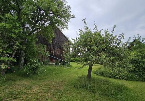 Garten Ost
