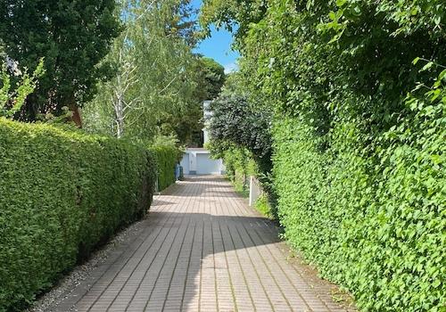 Zufahrt zum Haus