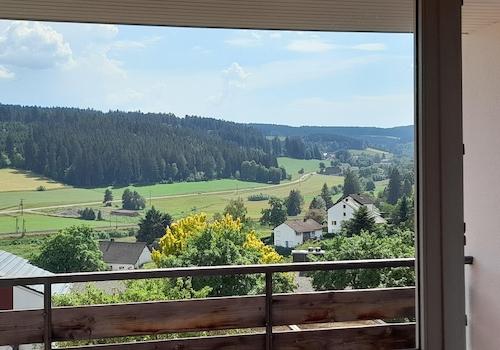 Blick ins Brigachtal