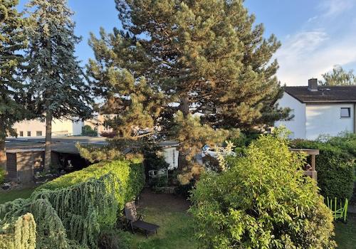 Garten Abendlicht Süden