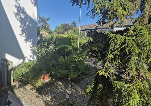 Vorgarten Morgenlicht