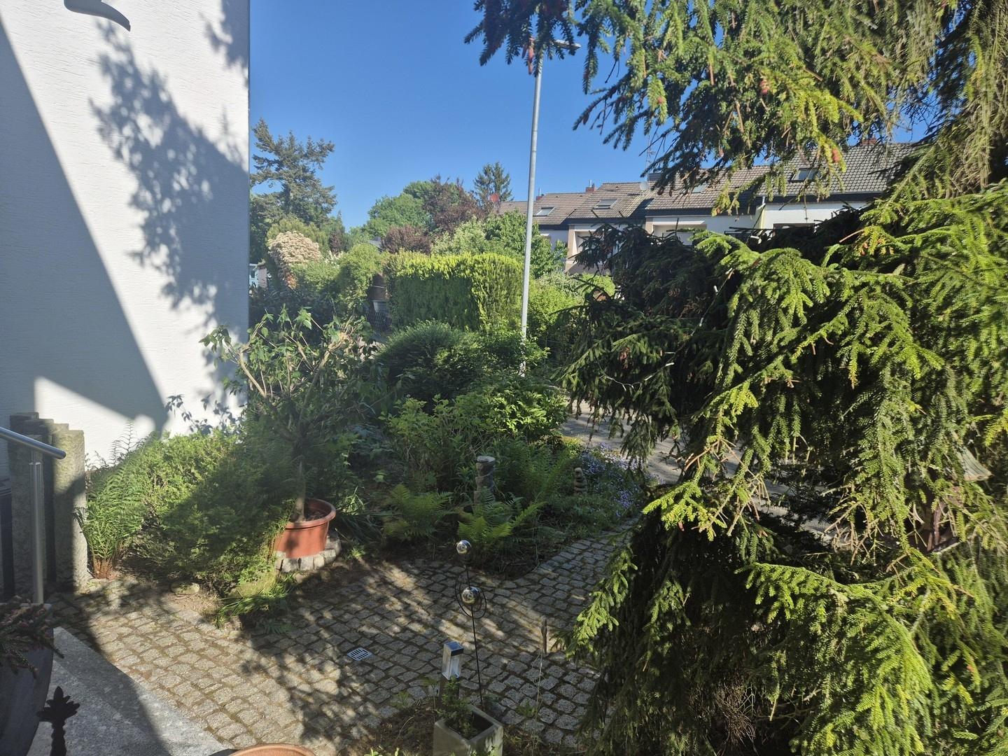 Vorgarten Morgenlicht