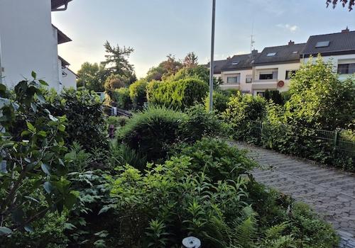 Vorgarten Abendlicht