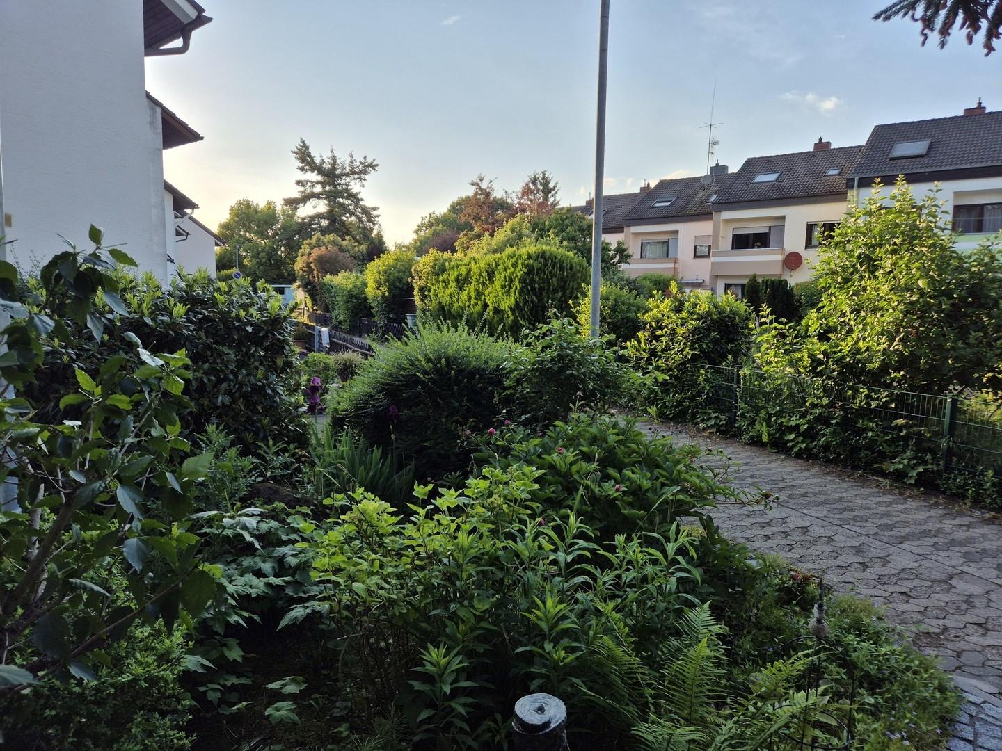 Vorgarten Abendlicht