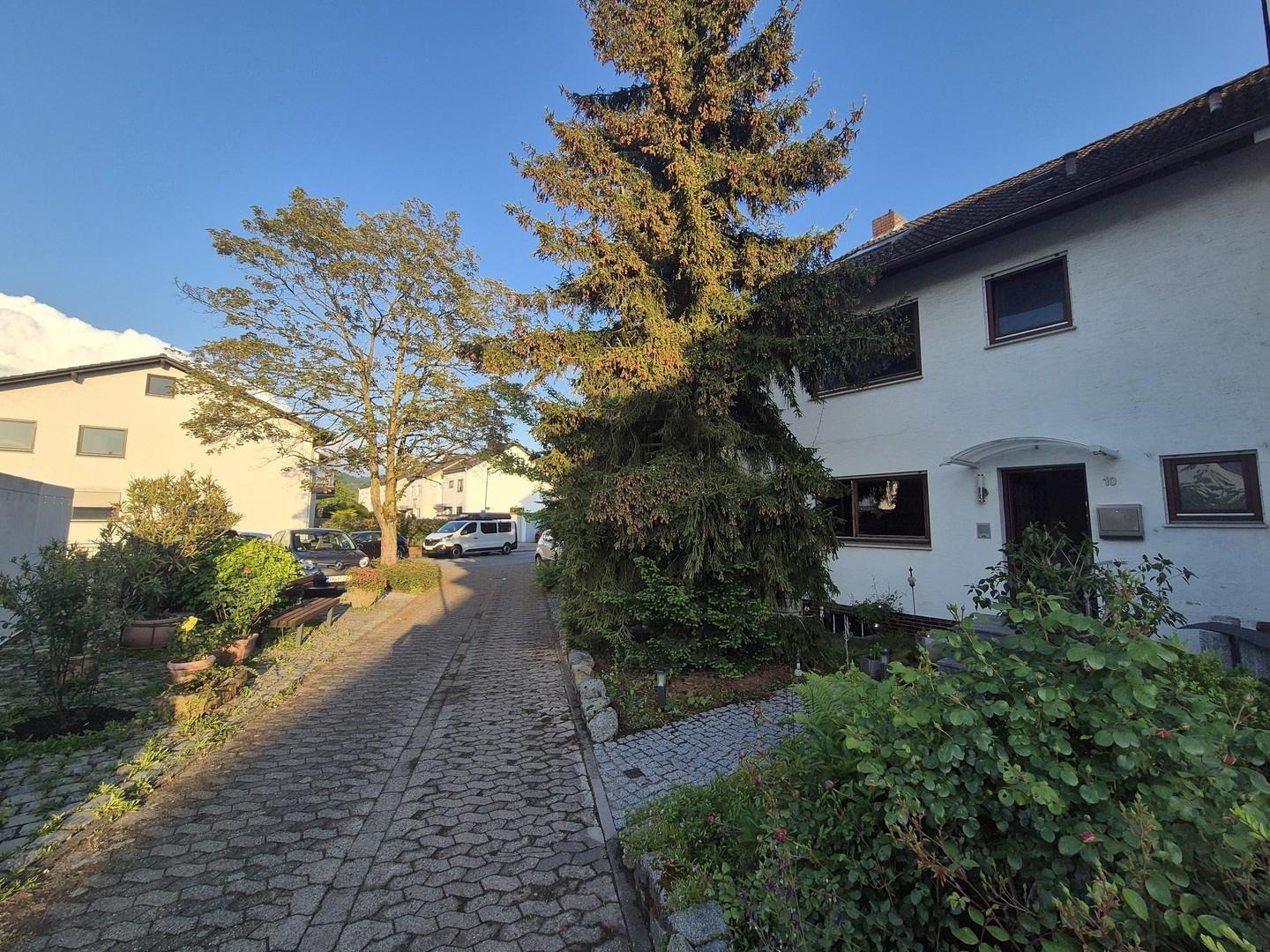 Wohnweg und Grünfläche