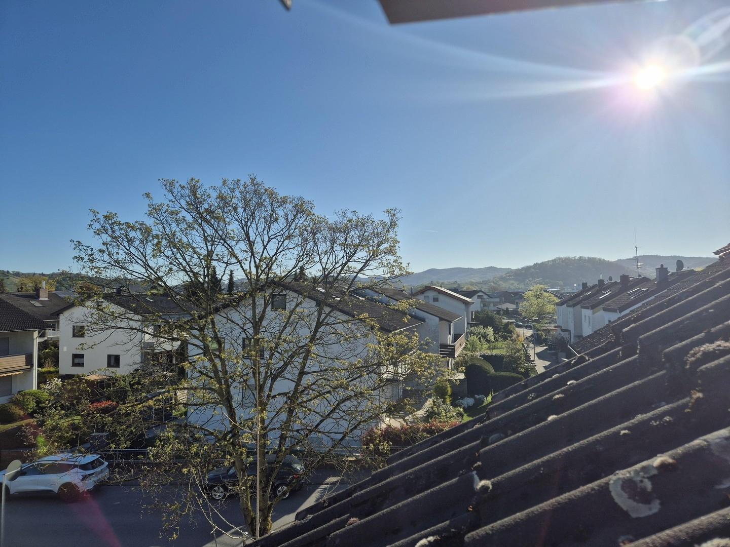 Dach Ausblick Osten