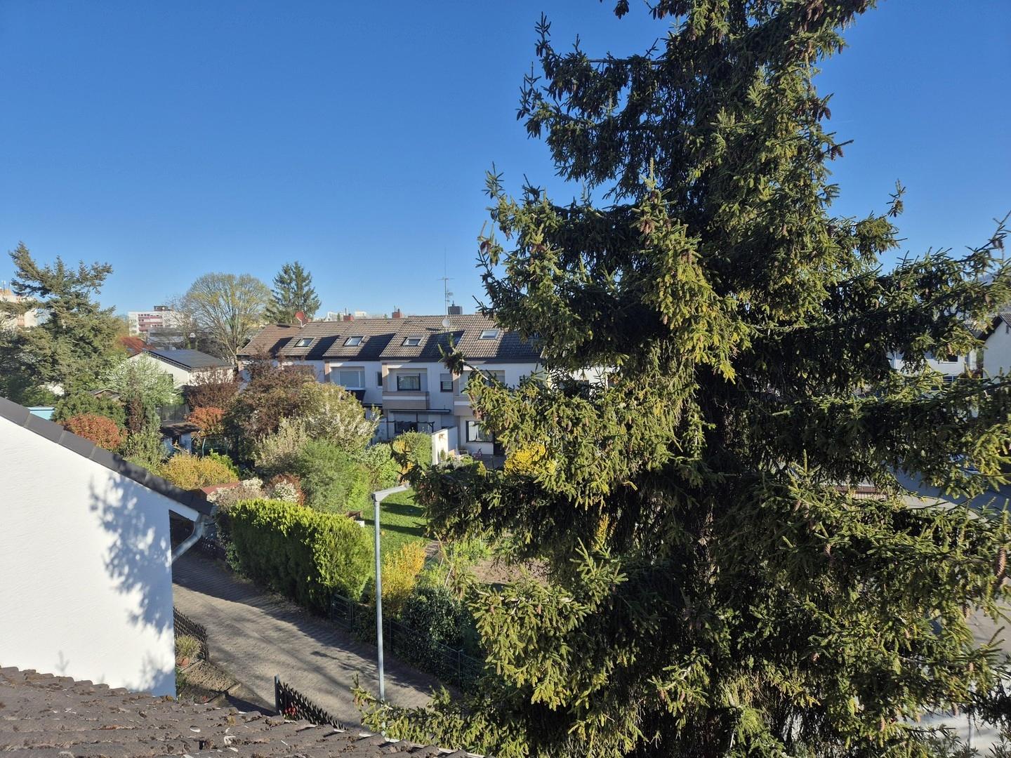 Dach Ausblick Nordwesten