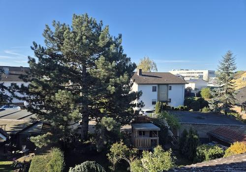 Dach Ausblick Süden