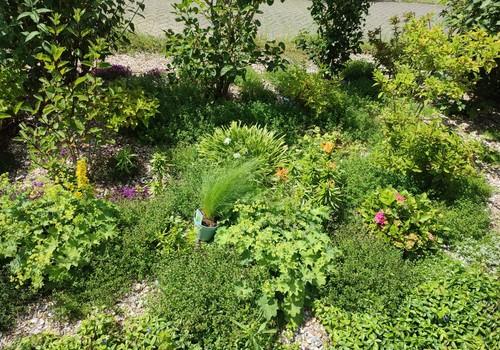 Pfelgeleichter Garten