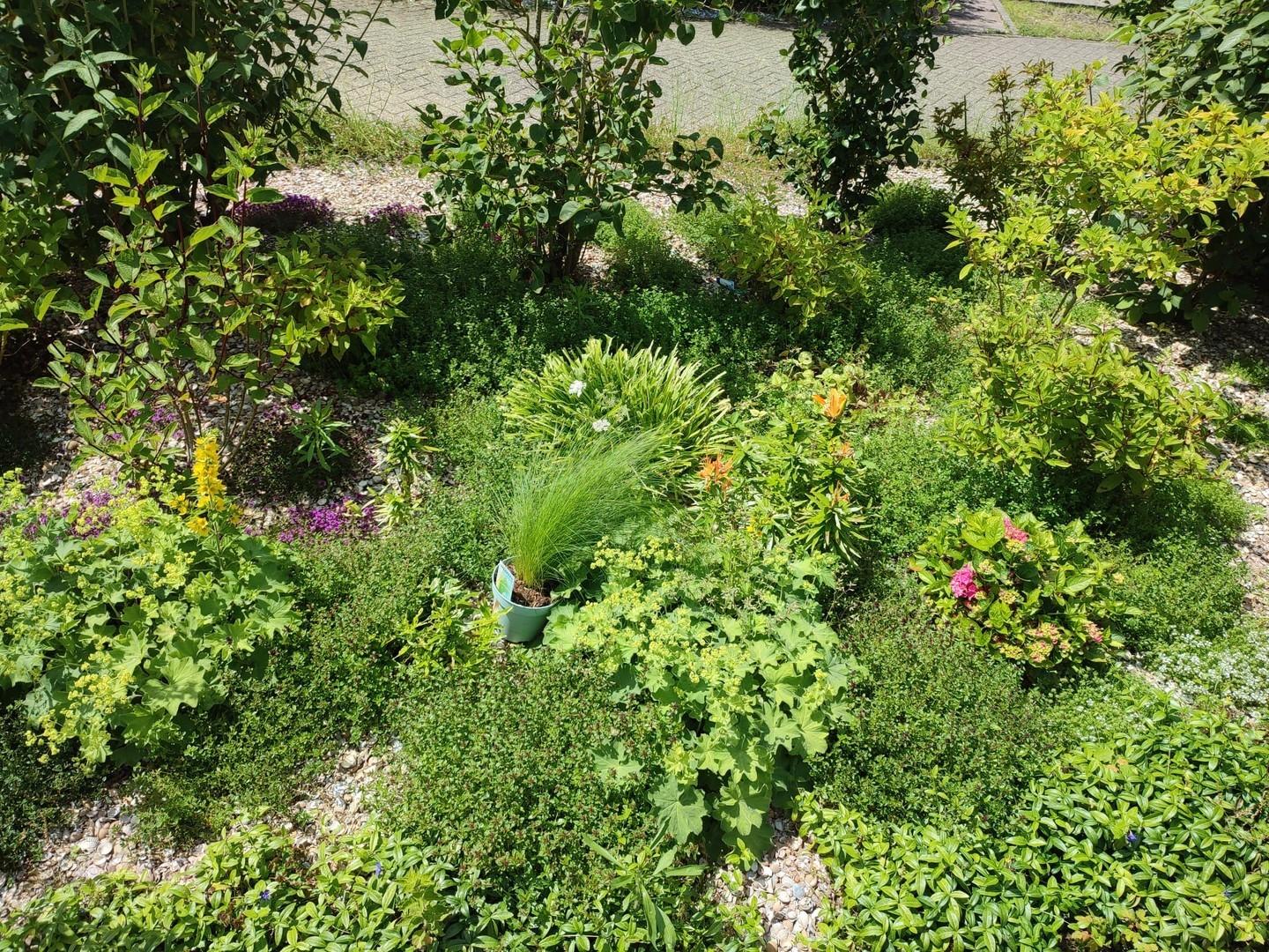 Pfelgeleichter Garten