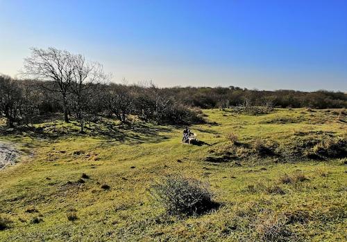Direkt am Naturschutzgebiet