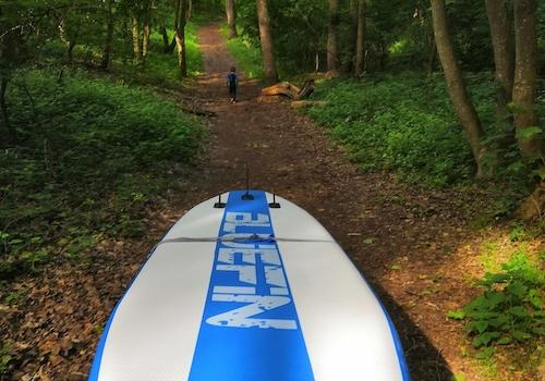 Waldweg zum Meer