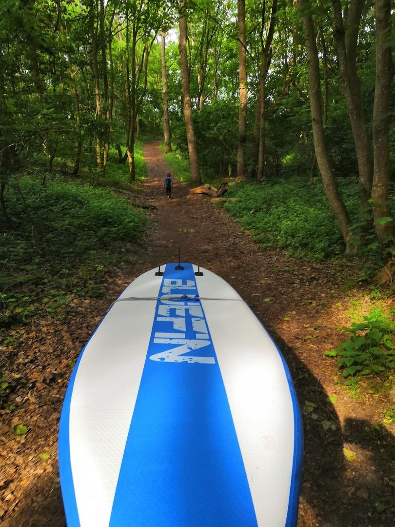 Waldweg zum Meer