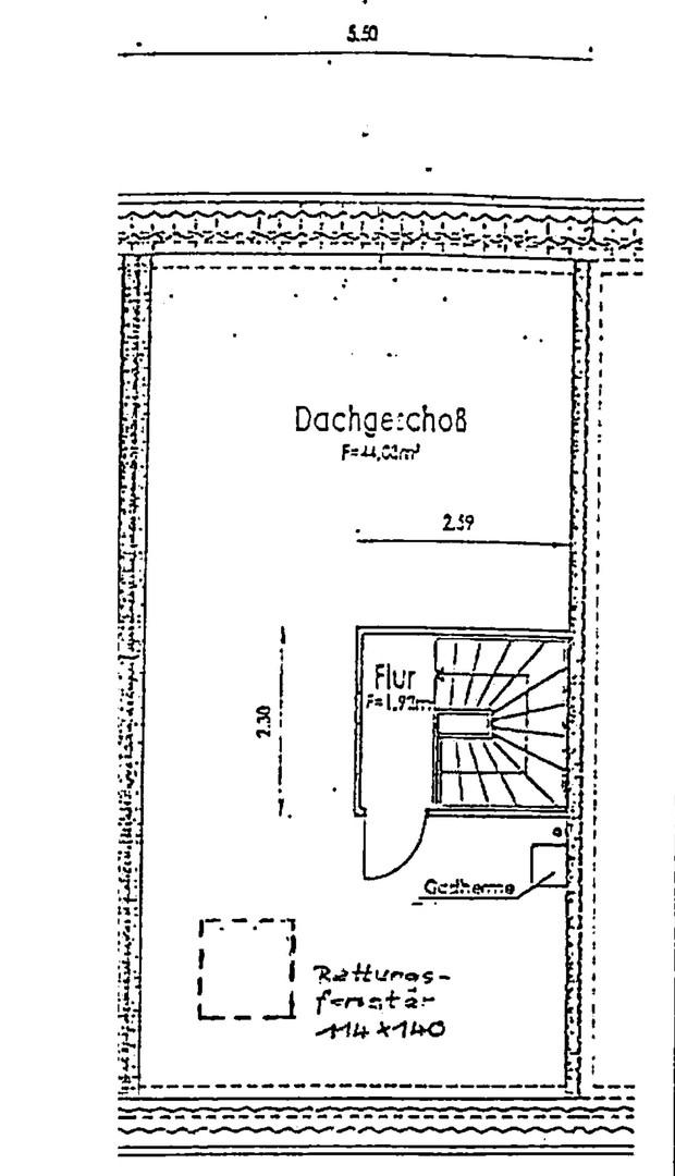 DG