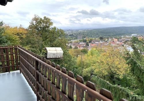 Blick