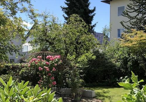Ausblick aus Wohnzimmer