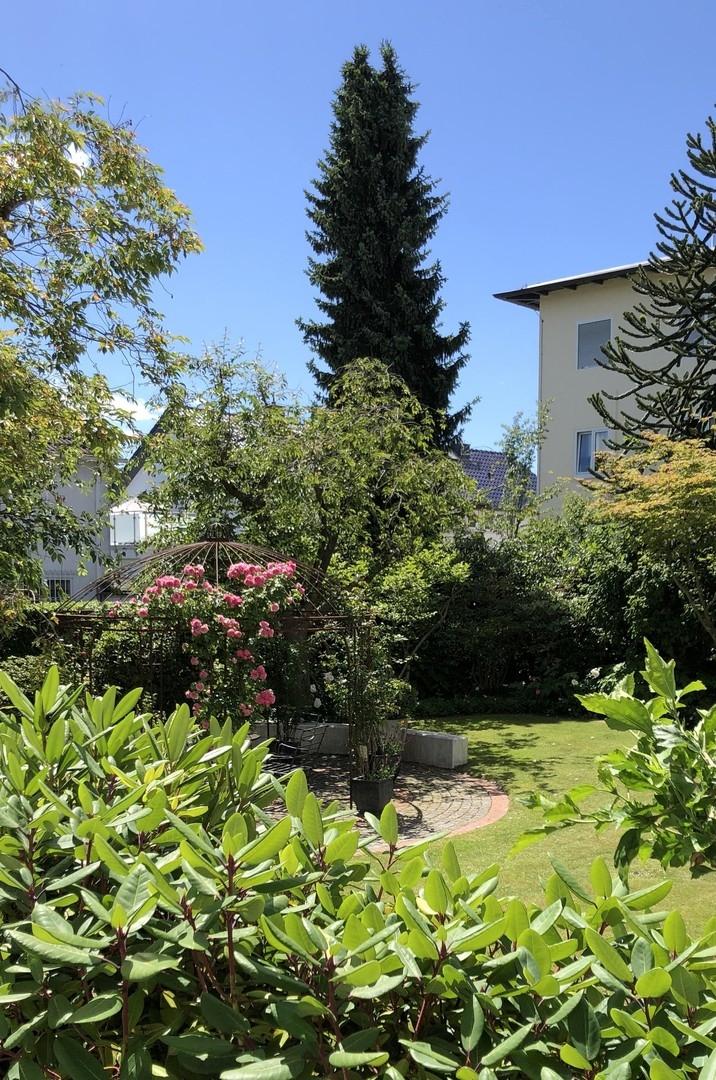 Ausblick aus Wohnzimmer