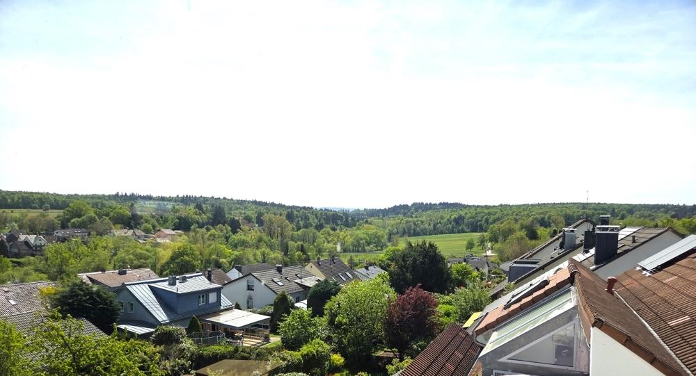 seitlicher Fensterblick