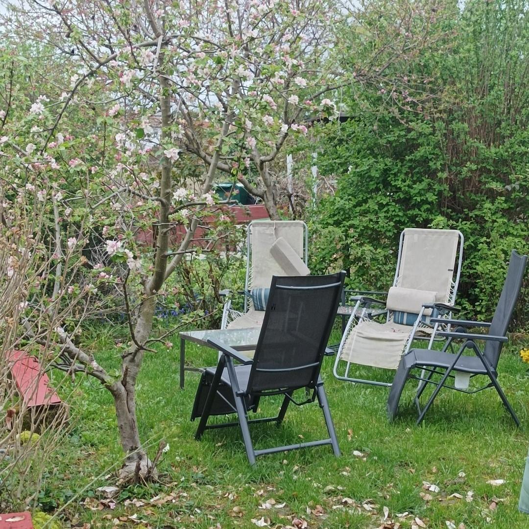 Garten hinter stitzplatz recht