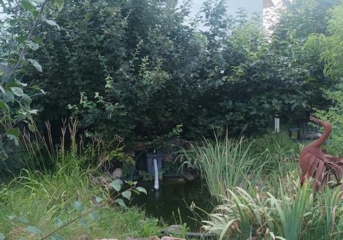 >Teich hinter garten links