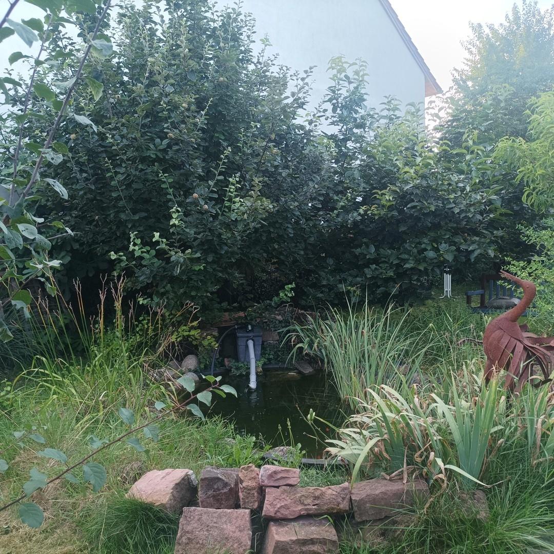 >Teich hinter garten links