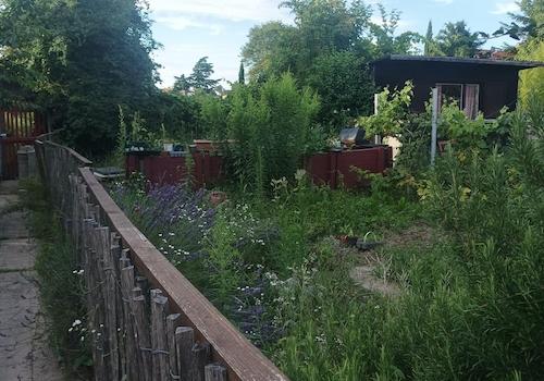 Gemüsegarten rechts