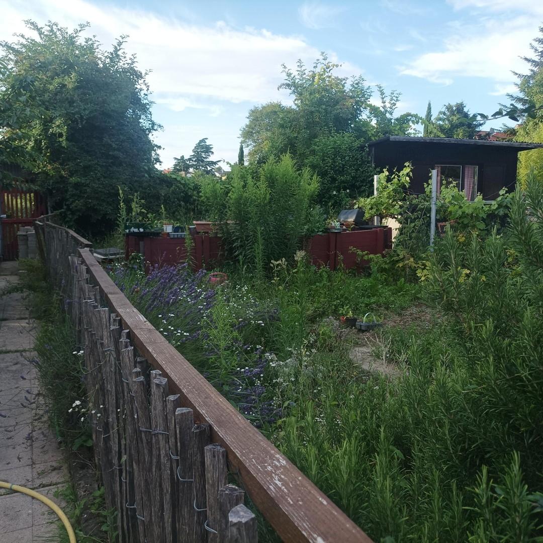 Gemüsegarten rechts