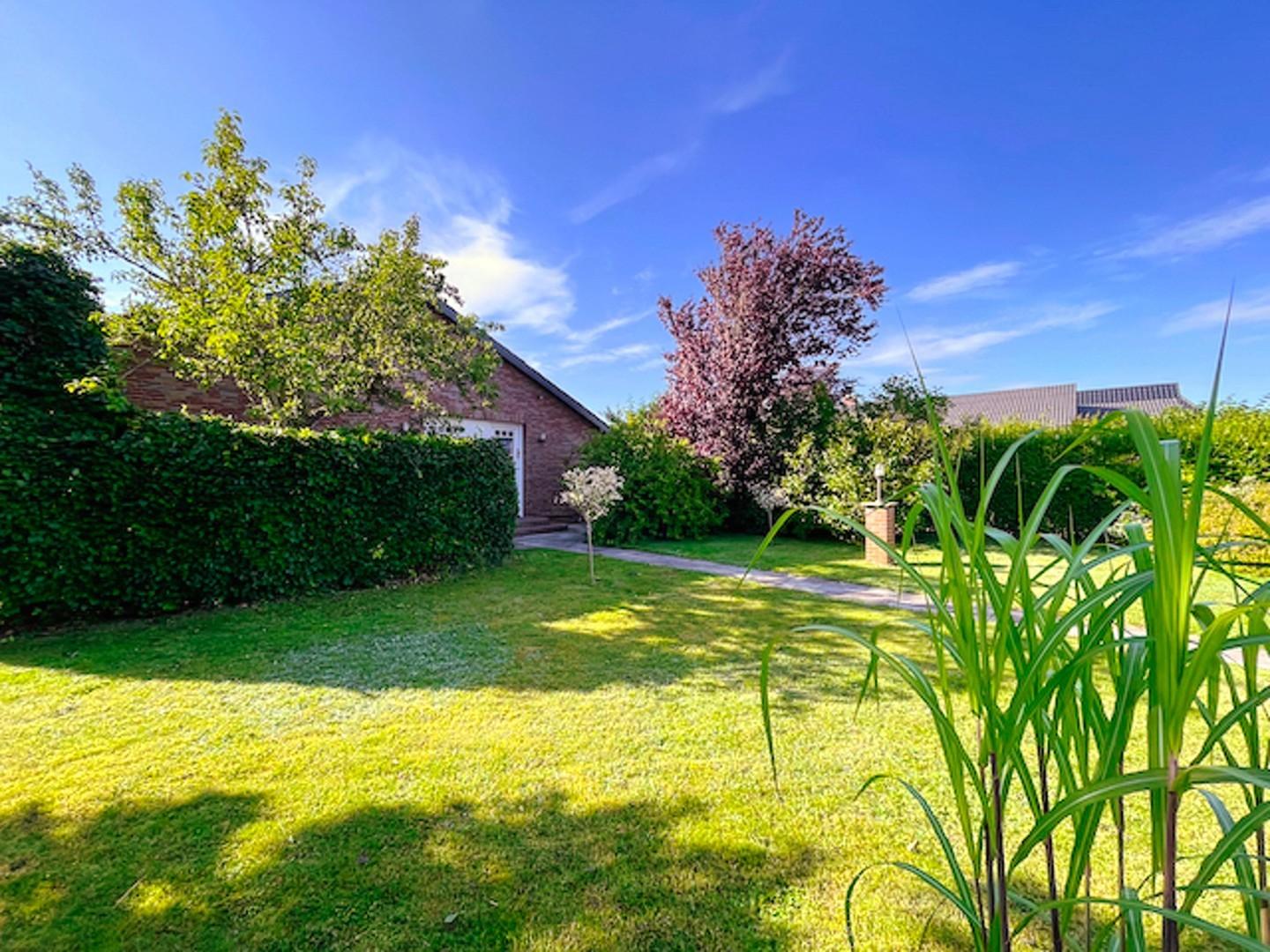 Gartenblick 