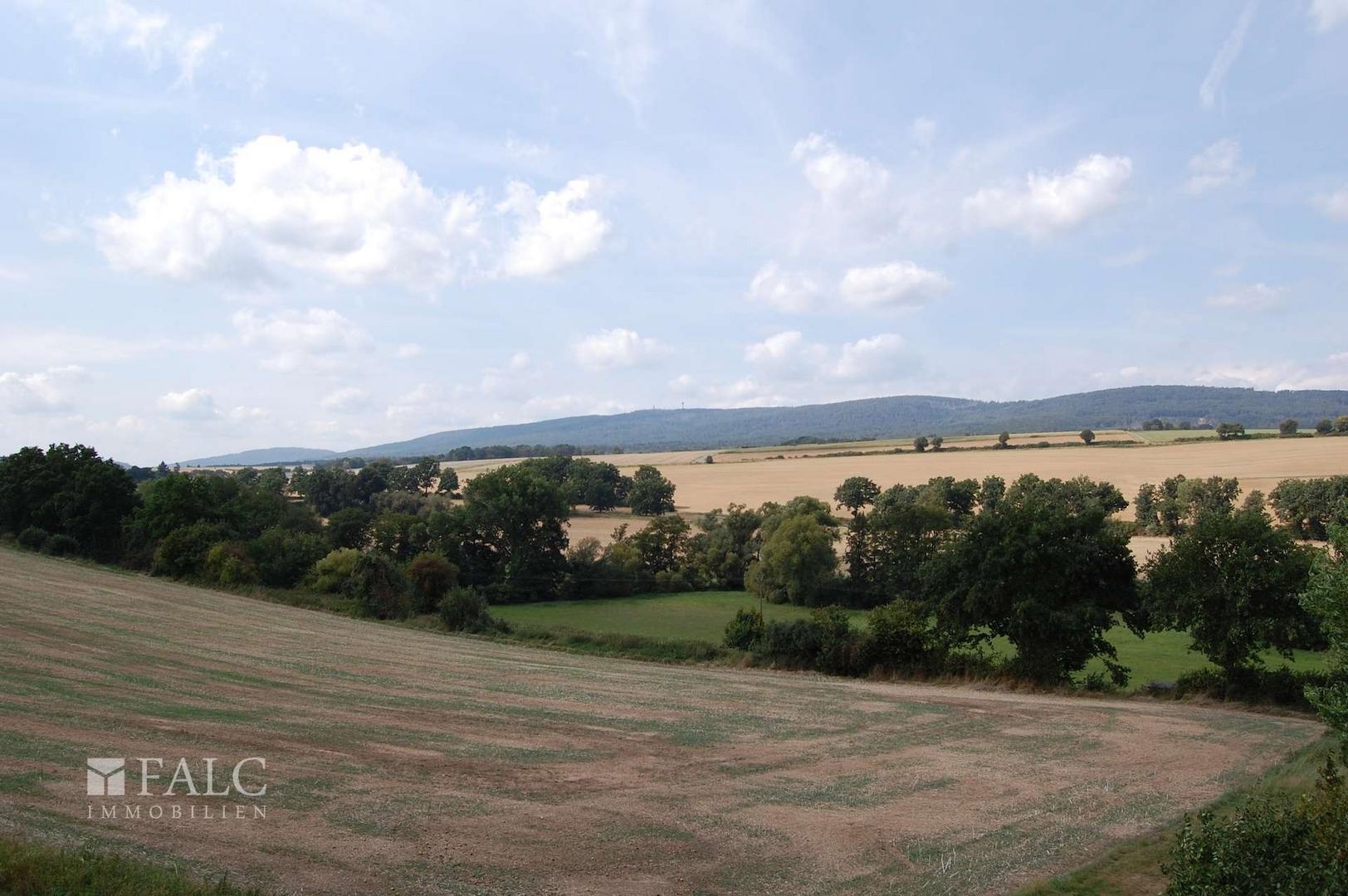 Ausblick vom Balkon
