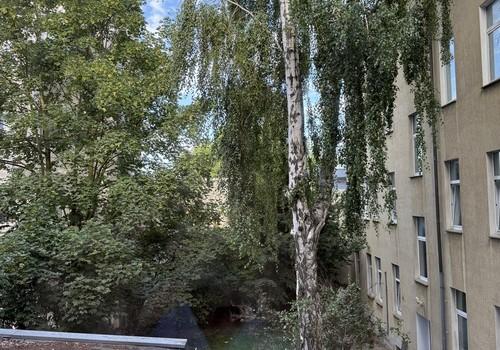 Gartenblick/ Innenhof