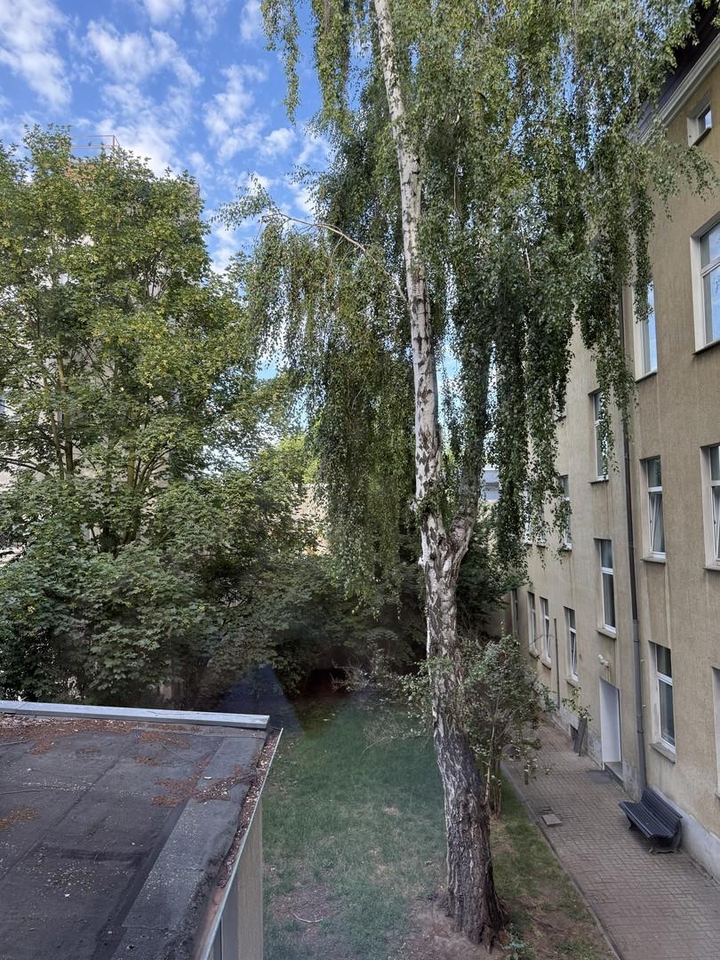 Gartenblick/ Innenhof