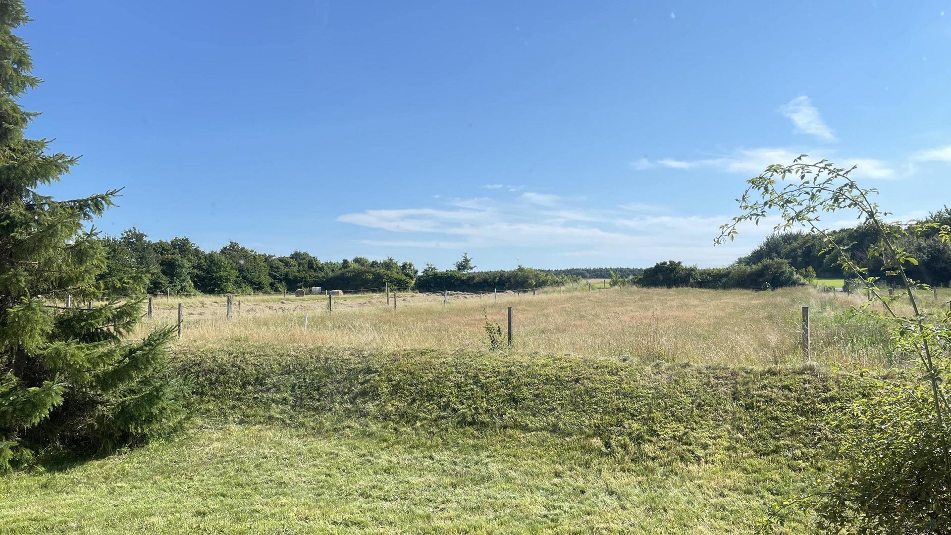 Blick vom Grundstück