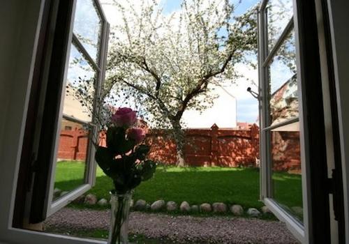 Blick in den Garten mit Mauer
